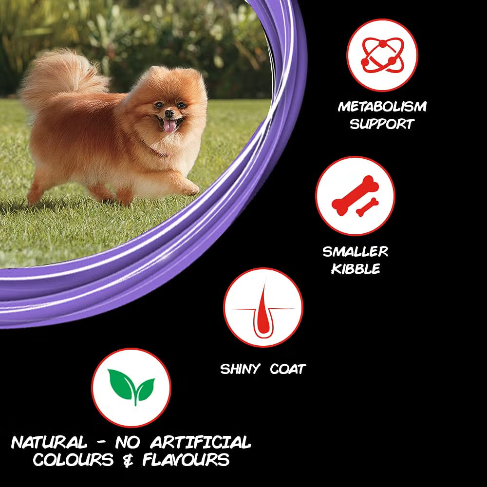 Purina SuperCoat Small Breed Adult | Dry Dog Food