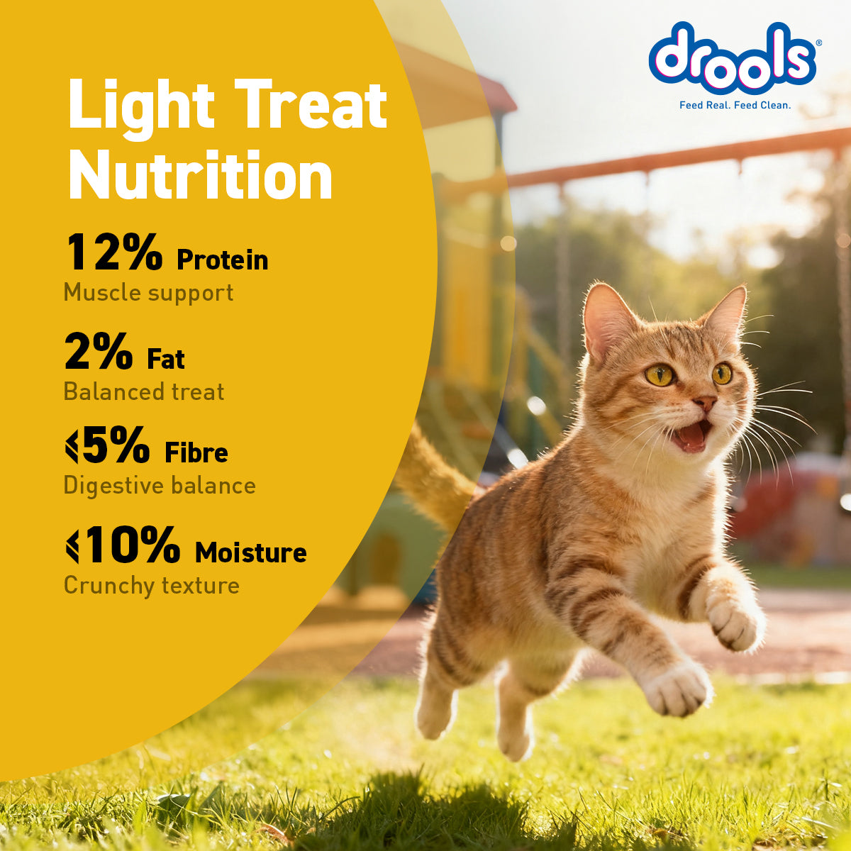 Drools Cat Chicken Biscuit 400 gm | Dry Cat Treats
