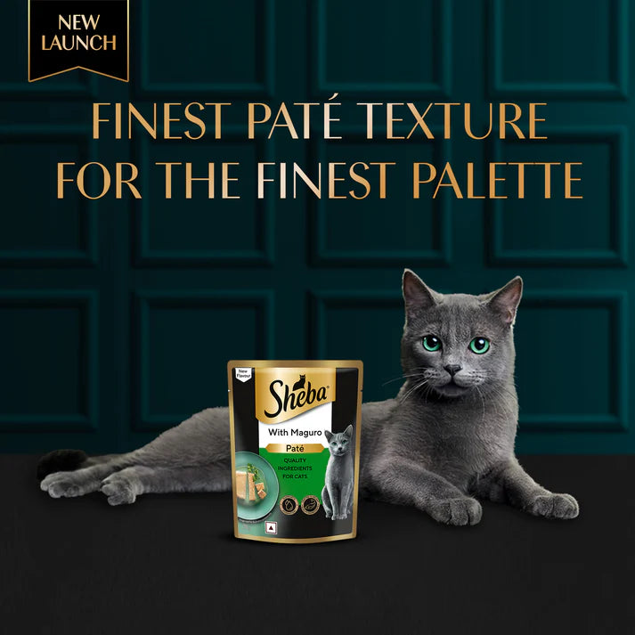 Sheba Maguro Pate | Wet Cat Food