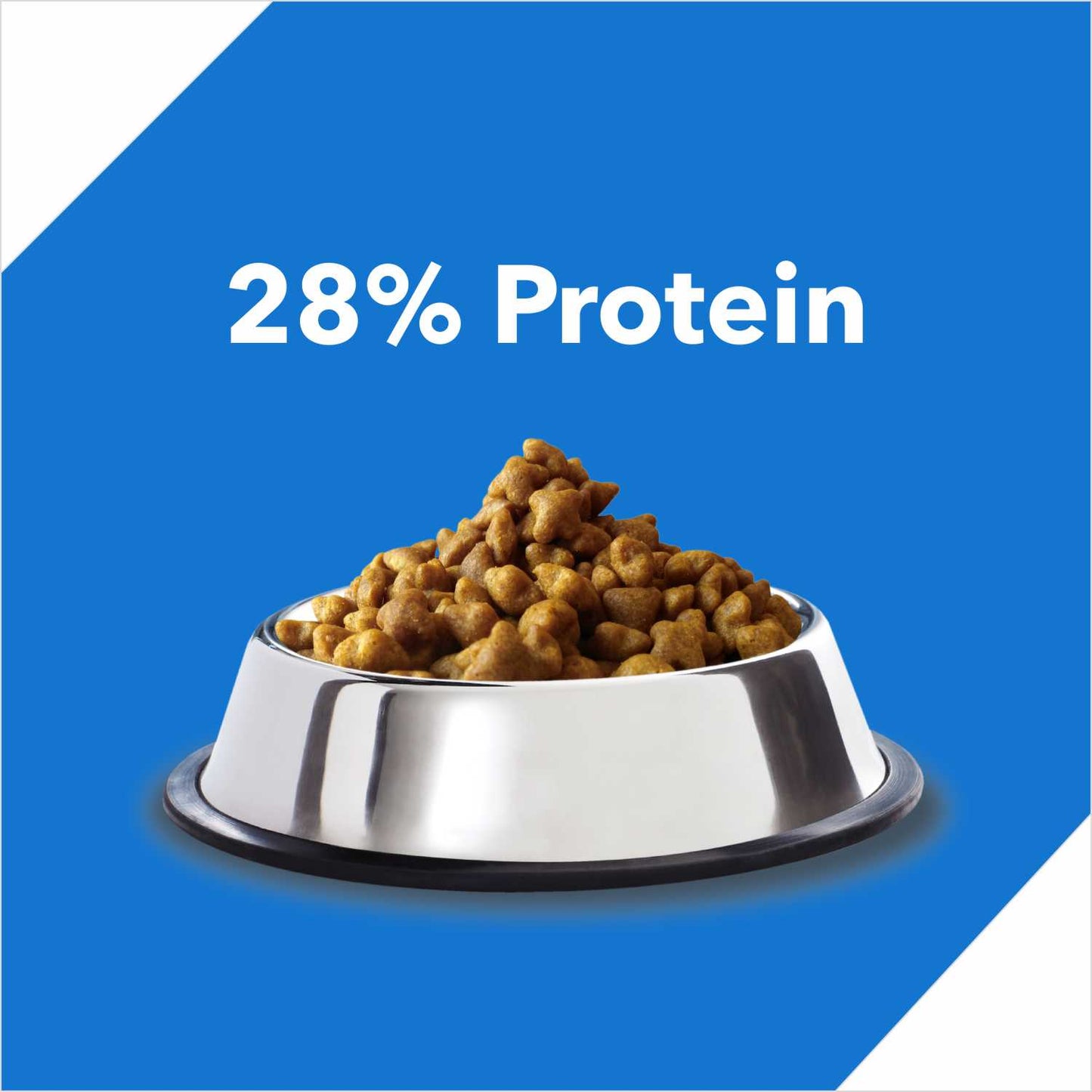 Drools Adult Mackerel | Dry Cat Food