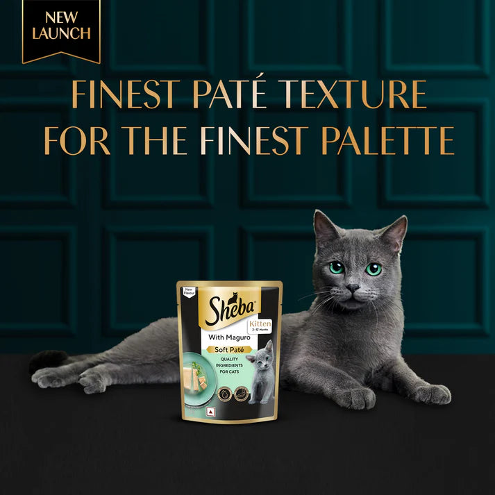 Sheba Kitten Maguro Pate | Wet Cat Food