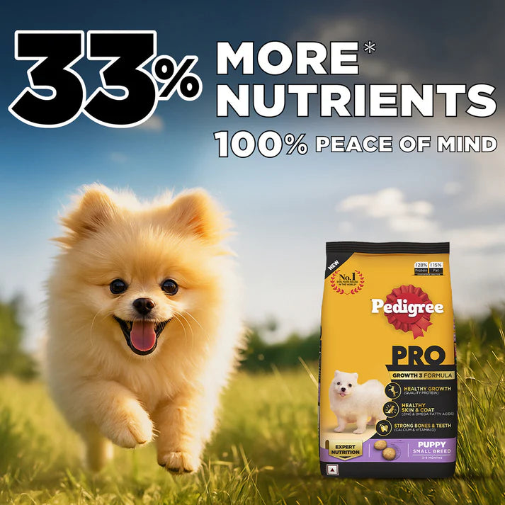 Pedigree Pro Puppy Small Breed | Dry Dog Food