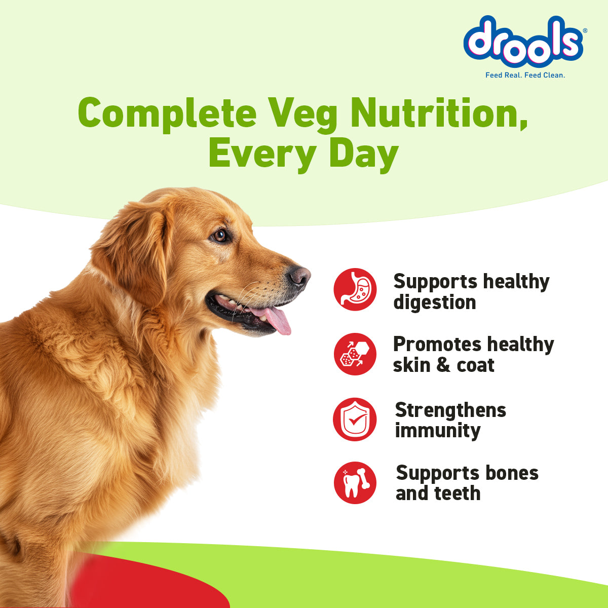 Drools Adult Vegetarian | Dry Dog Food