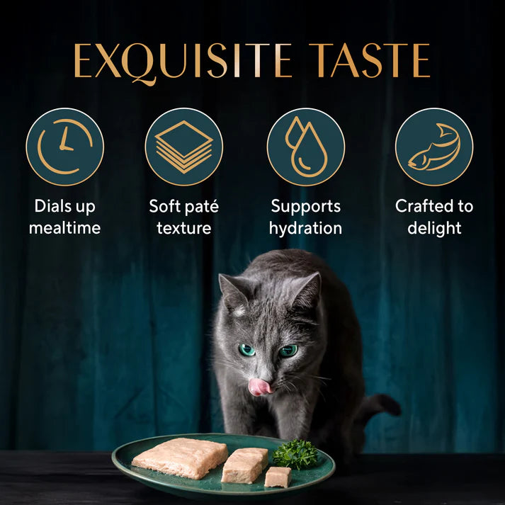 Sheba Maguro Pate | Wet Cat Food
