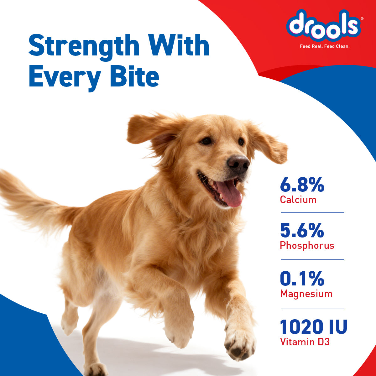 Drools Absolute Calcium Bone | Dry Dog Treats
