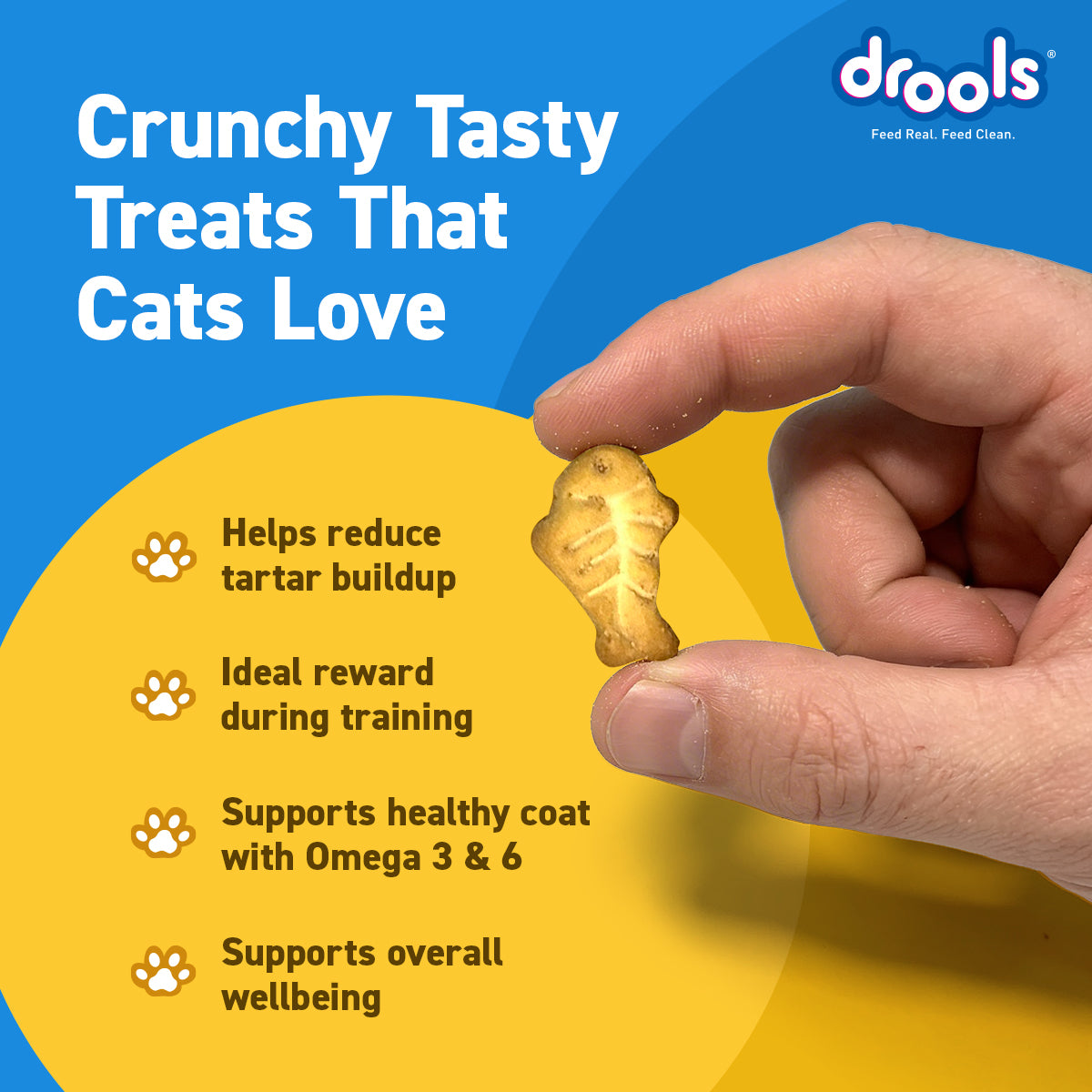 Drools Cat Chicken Biscuit 400 gm | Dry Cat Treats
