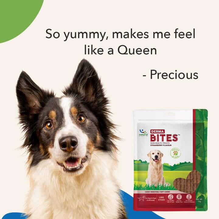 Natural Remedies Derma Bites Strawberry Flavor | Soft Dog Treats