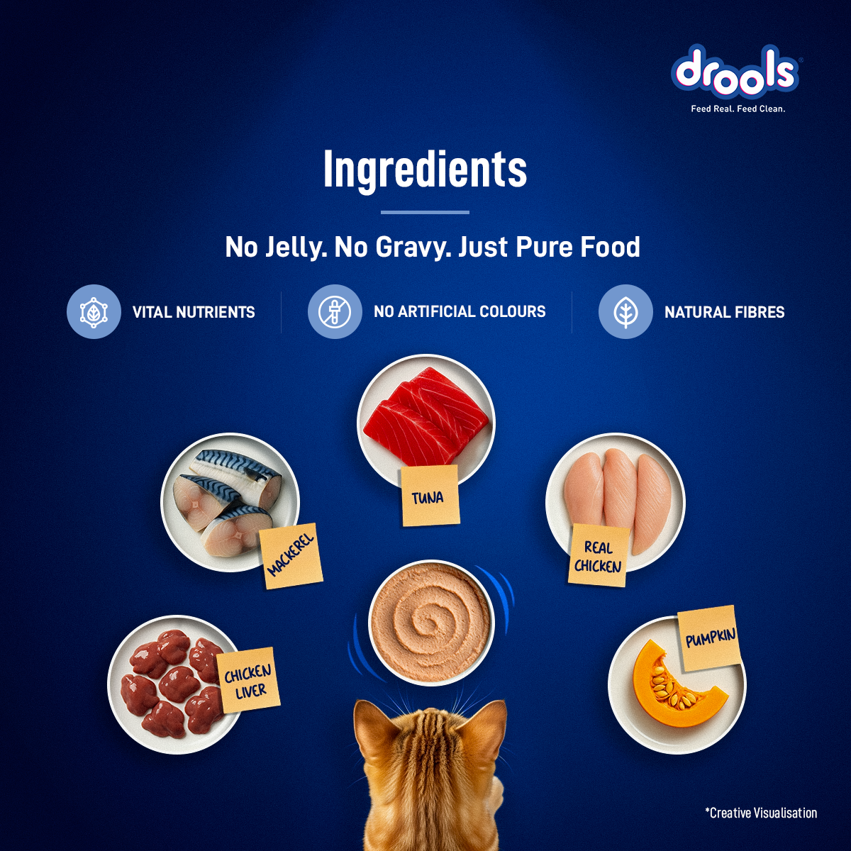 Drools Mousse Ocean Fish - 80 gm | Wet Cat Food