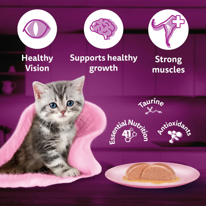 Whiskas Junior Mackerel Gravy | Wet Cat Food