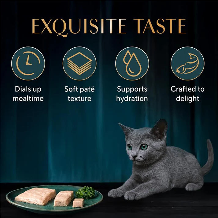 Sheba Kitten Maguro Pate | Wet Cat Food