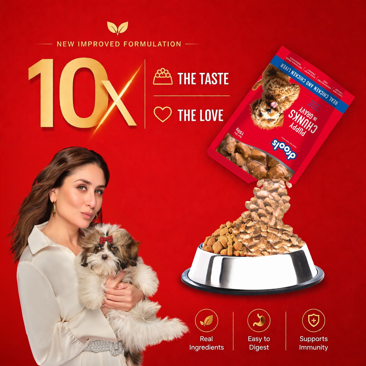 Drools Chicken & Liver Puppy Gravy | Wet Dog Food