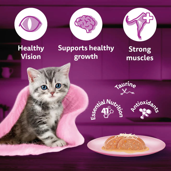 Whiskas Junior Chicken & Salmon Gravy | Wet Cat Food