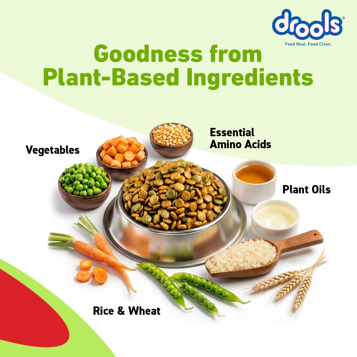Drools Adult Vegetarian | Dry Dog Food