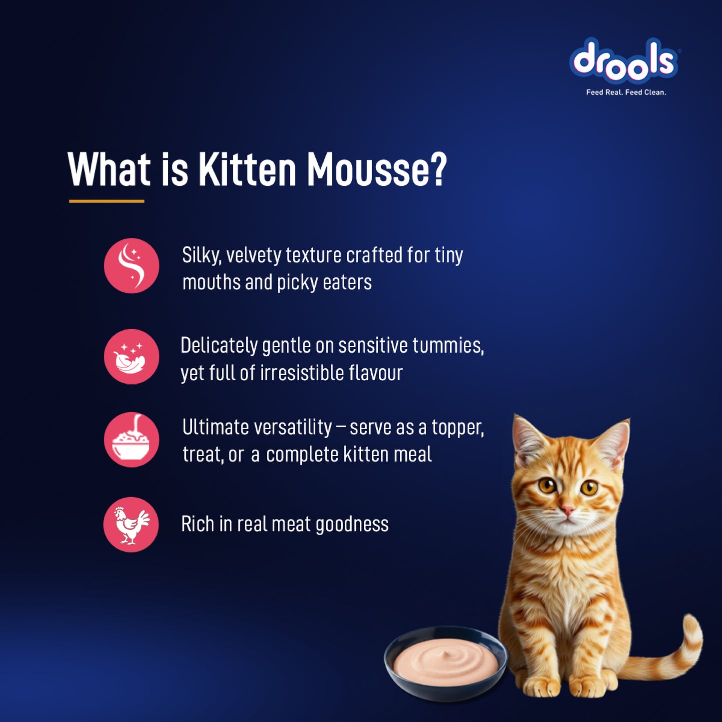 Drools Mousse Salmon Kitten - 80 gm | Wet Cat Food