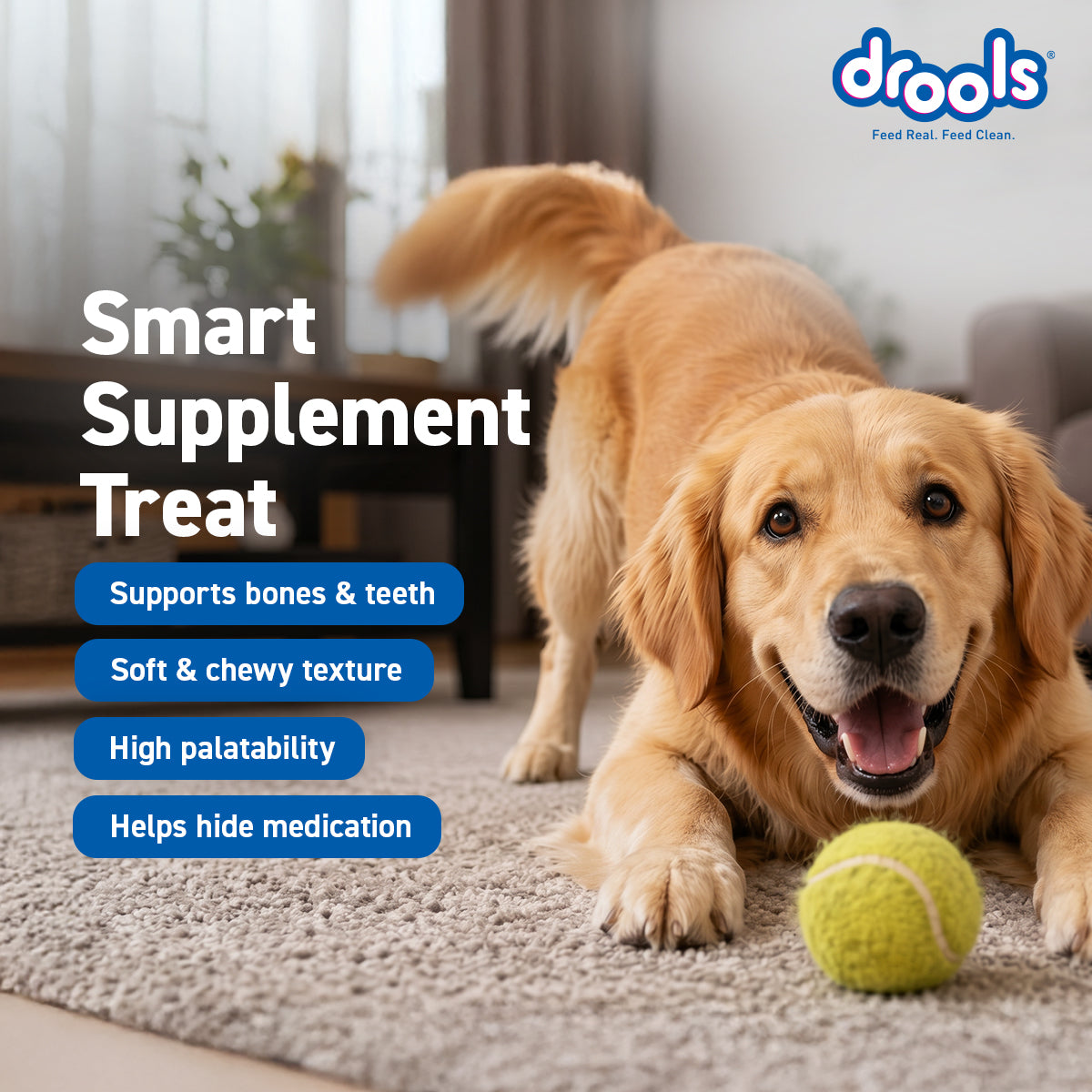 Drools Absolute Calcium Sausage | Soft Dog Treats