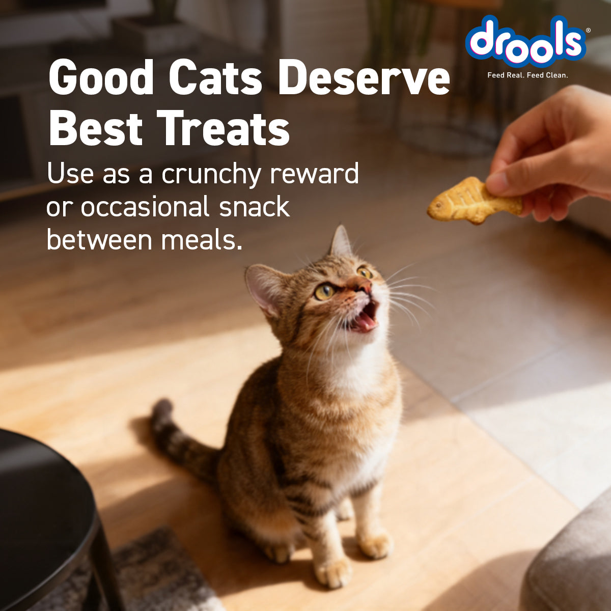 Drools Cat Chicken Biscuit 400 gm | Dry Cat Treats