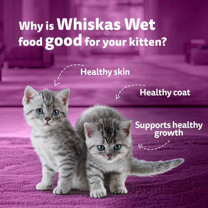 Whiskas Junior Mackerel Gravy | Wet Cat Food