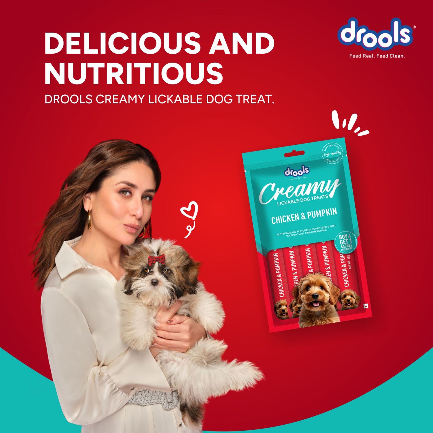 Drools Chicken & Pumpkin Creamy Treat | Wet Dog Food