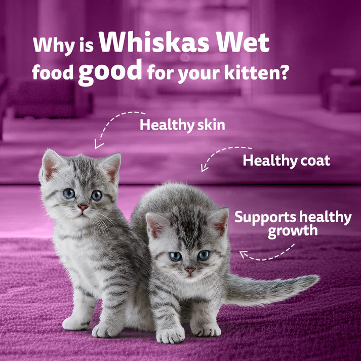 Whiskas Junior Chicken & Salmon Gravy | Wet Cat Food
