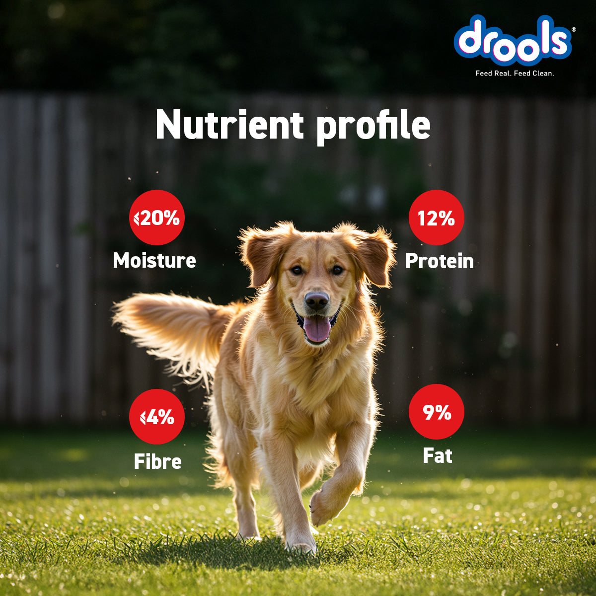 Drools Chicken Carrot Sticks | Dry Dog Treats