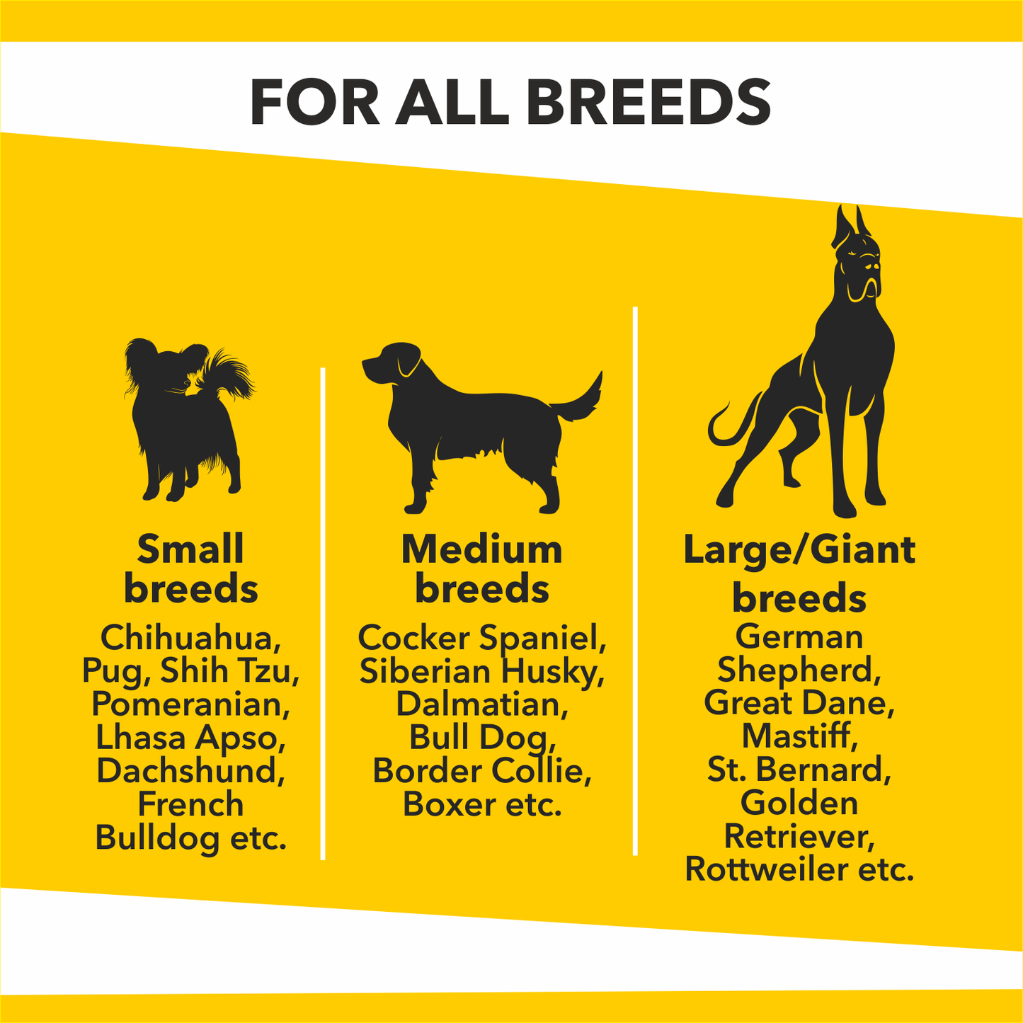Drools Baked Delight Biscuits | Dry Dog Treats