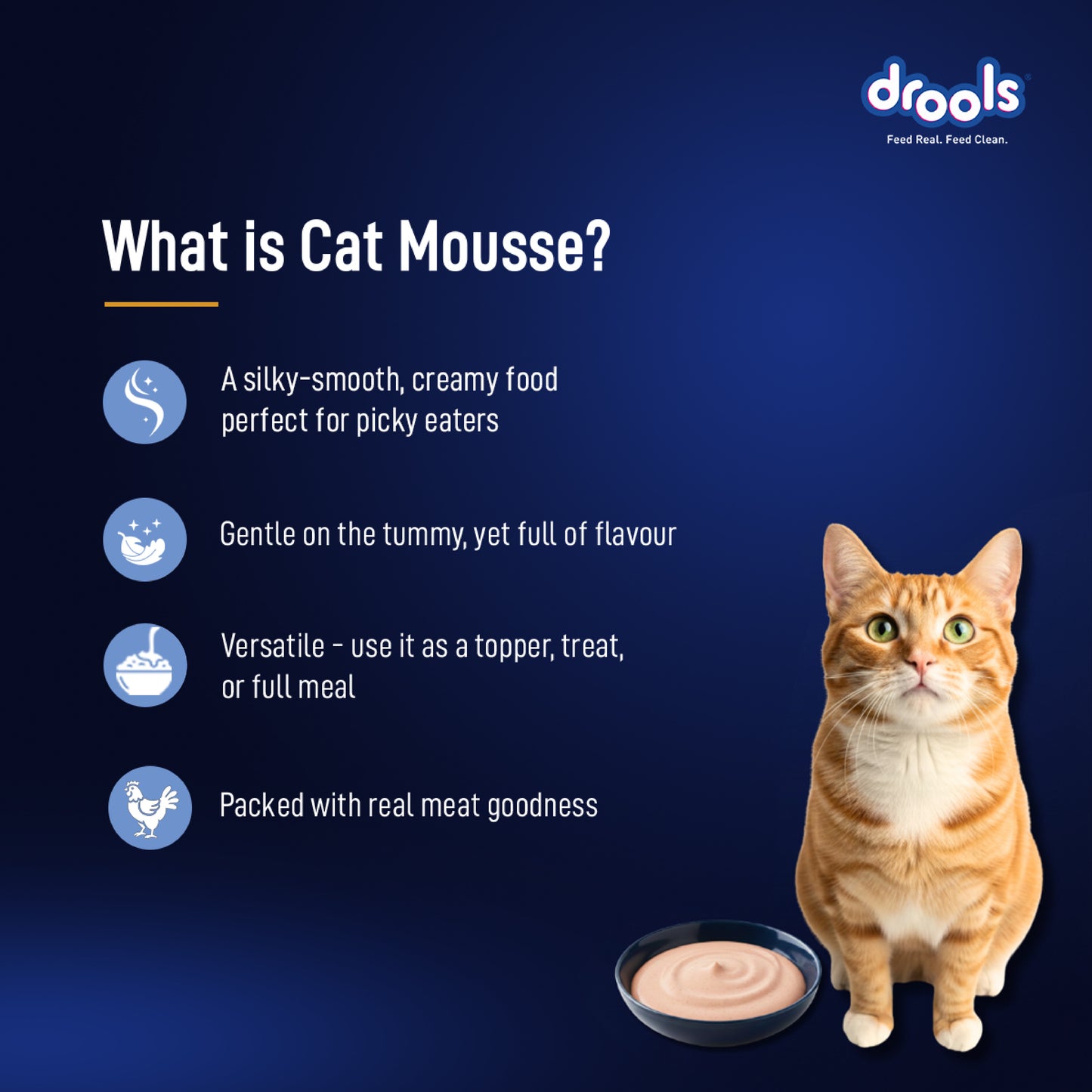 Drools Mousse Ocean Fish - 80 gm | Wet Cat Food