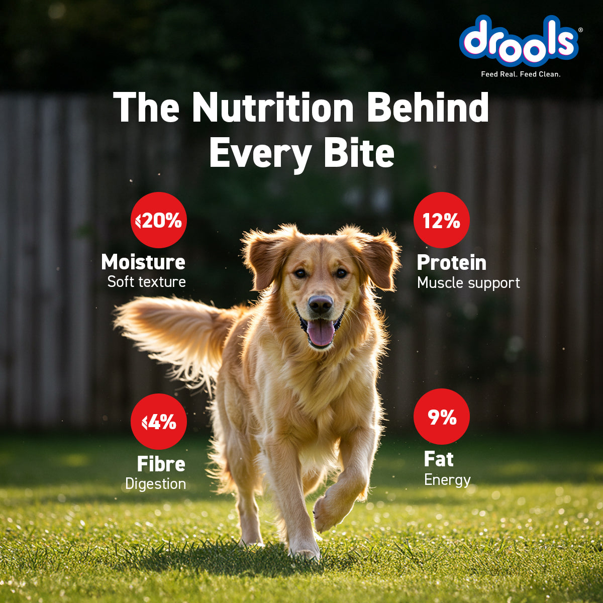 Drools Chicken Blueberry Sticks | Dry Dog Treats