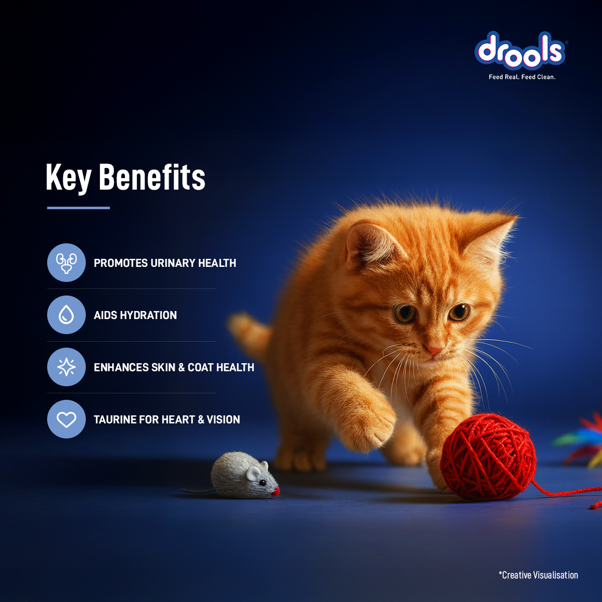 Drools Mousse Ocean Fish Kitten - 80 gm | Wet Cat Food