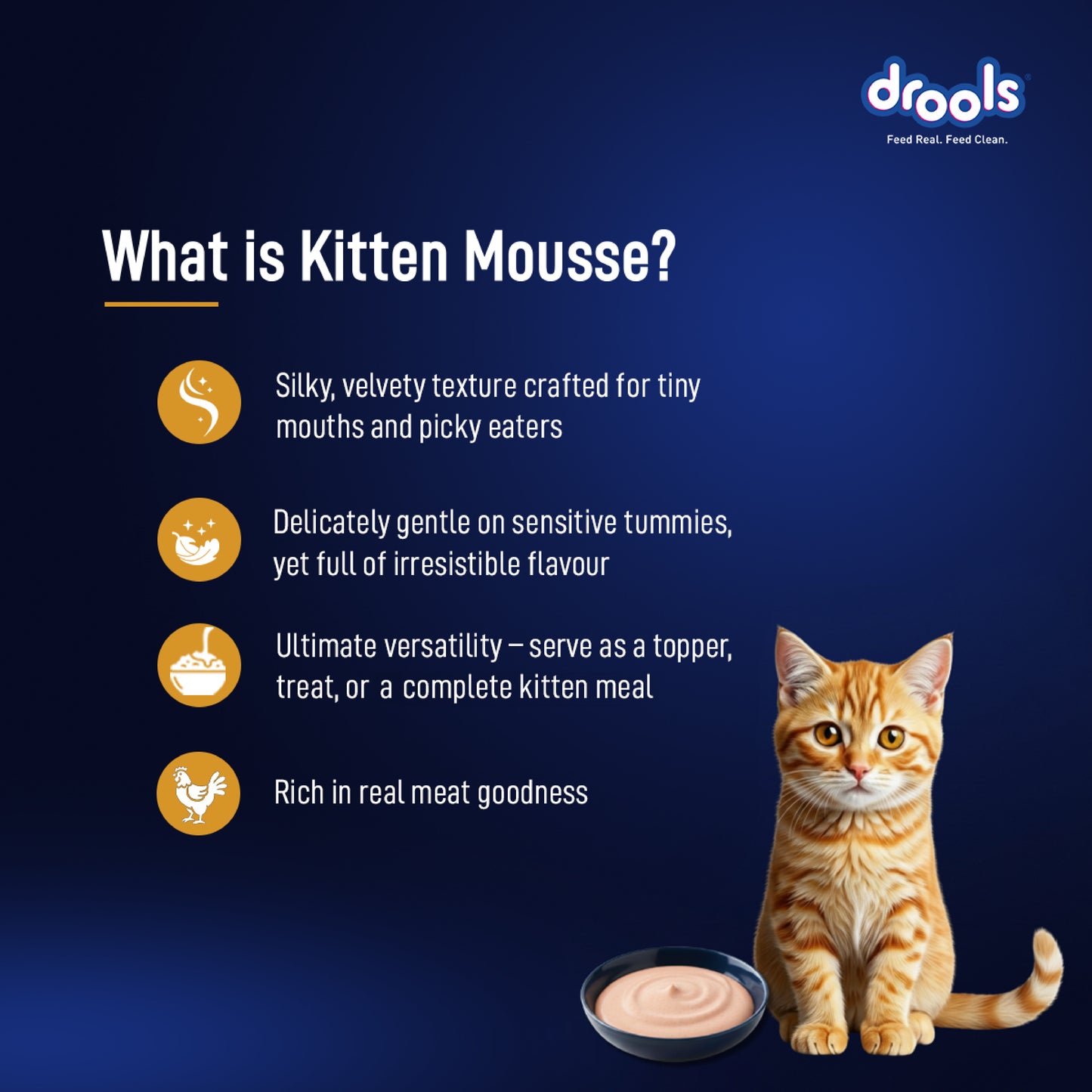 Drools Mousse Chicken Kitten - 80 gm | Wet Cat Food