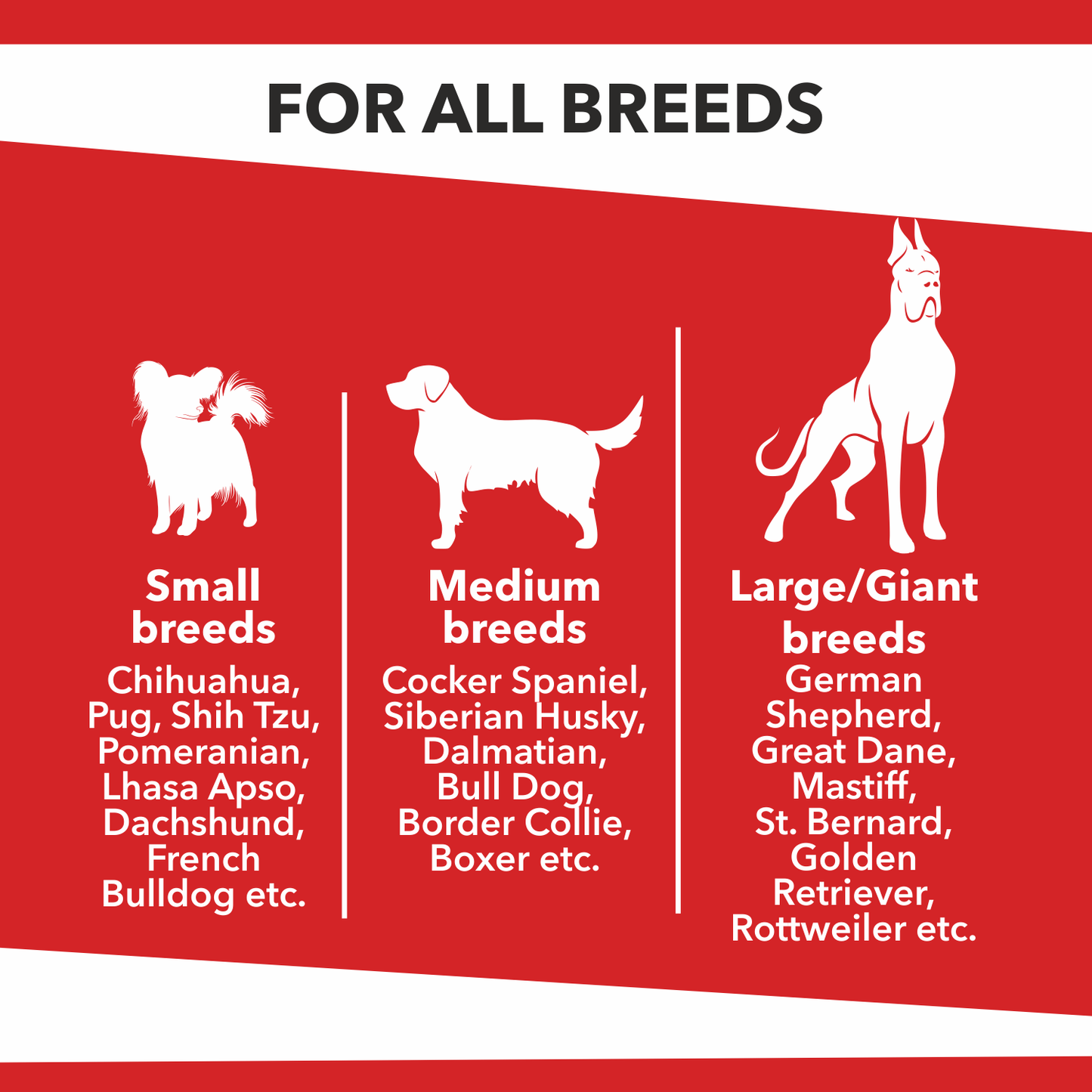 Drools Baked Delight Biscuits | Dry Dog Treats