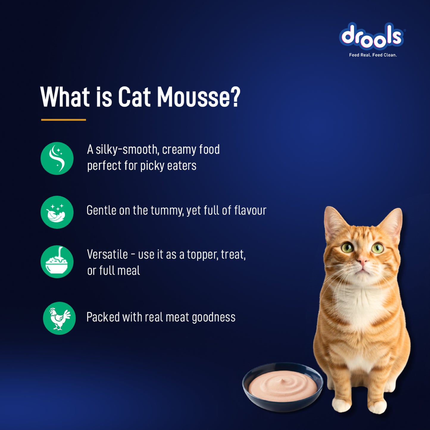 Drools Mousse Tuna - 80 gm | Wet Cat Food