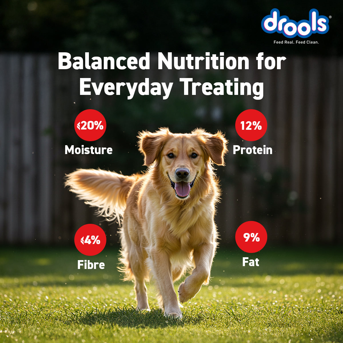 Drools Chicken Strawberry Sticks | Dry Dog Treats