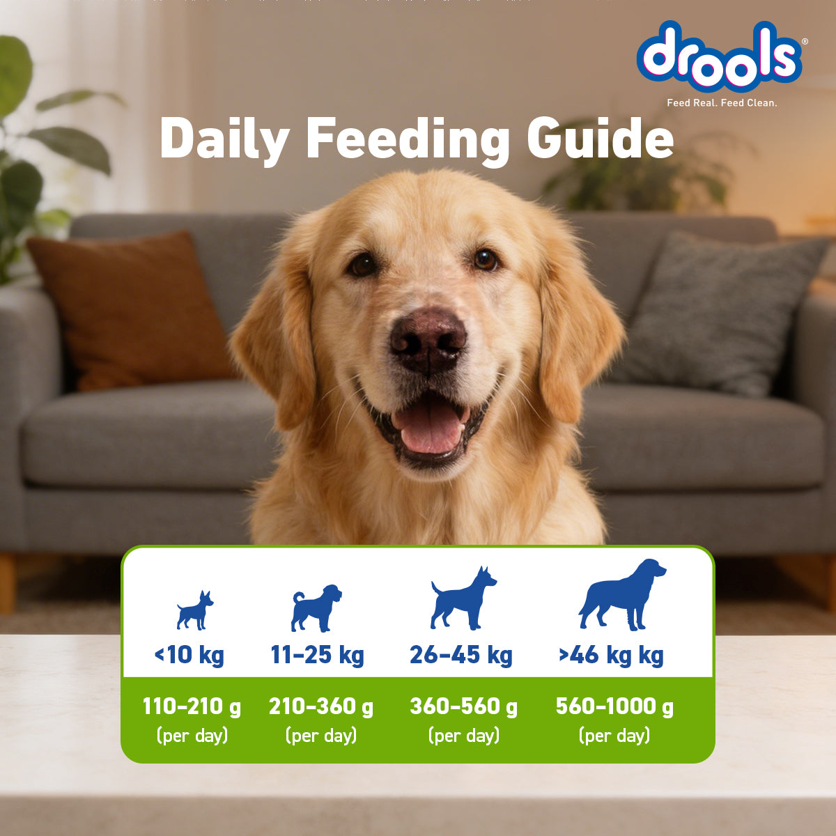 Drools Adult Vegetarian | Dry Dog Food