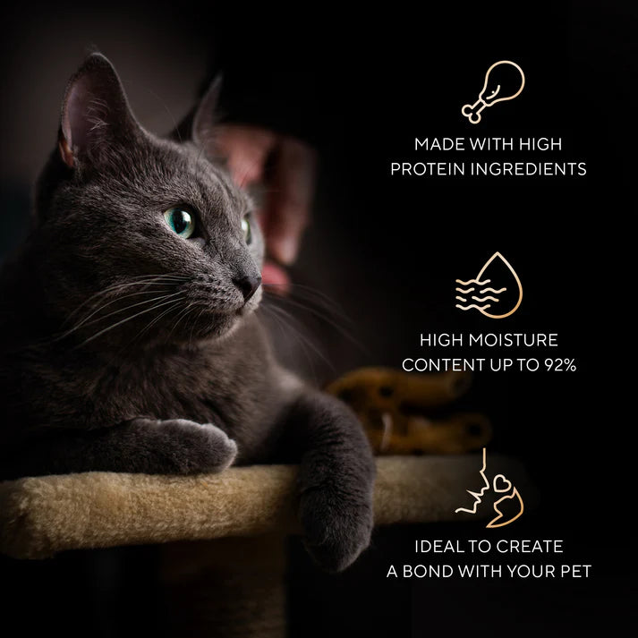 Sheba Melty Spoons Maguro Flavour With Tuna Cream | Wet Cat Treats