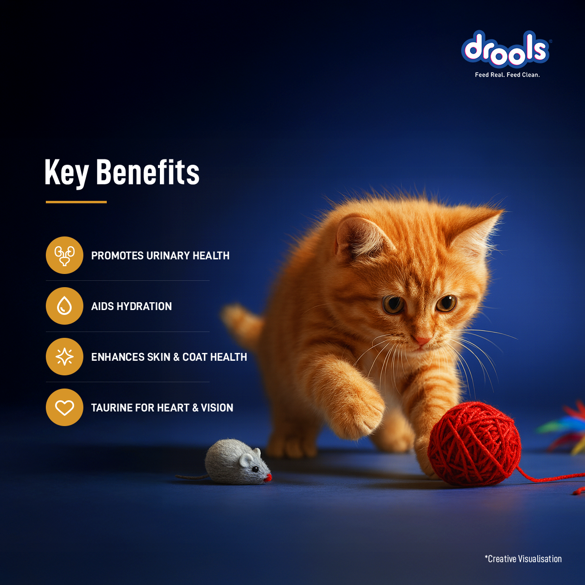 Drools Mousse Chicken Kitten - 80 gm | Wet Cat Food