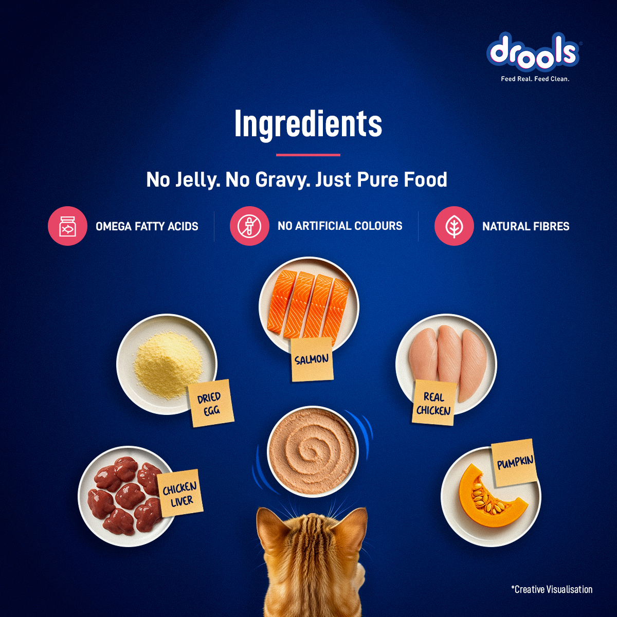 Drools Mousse Salmon - 80 gm | Wet Cat Food