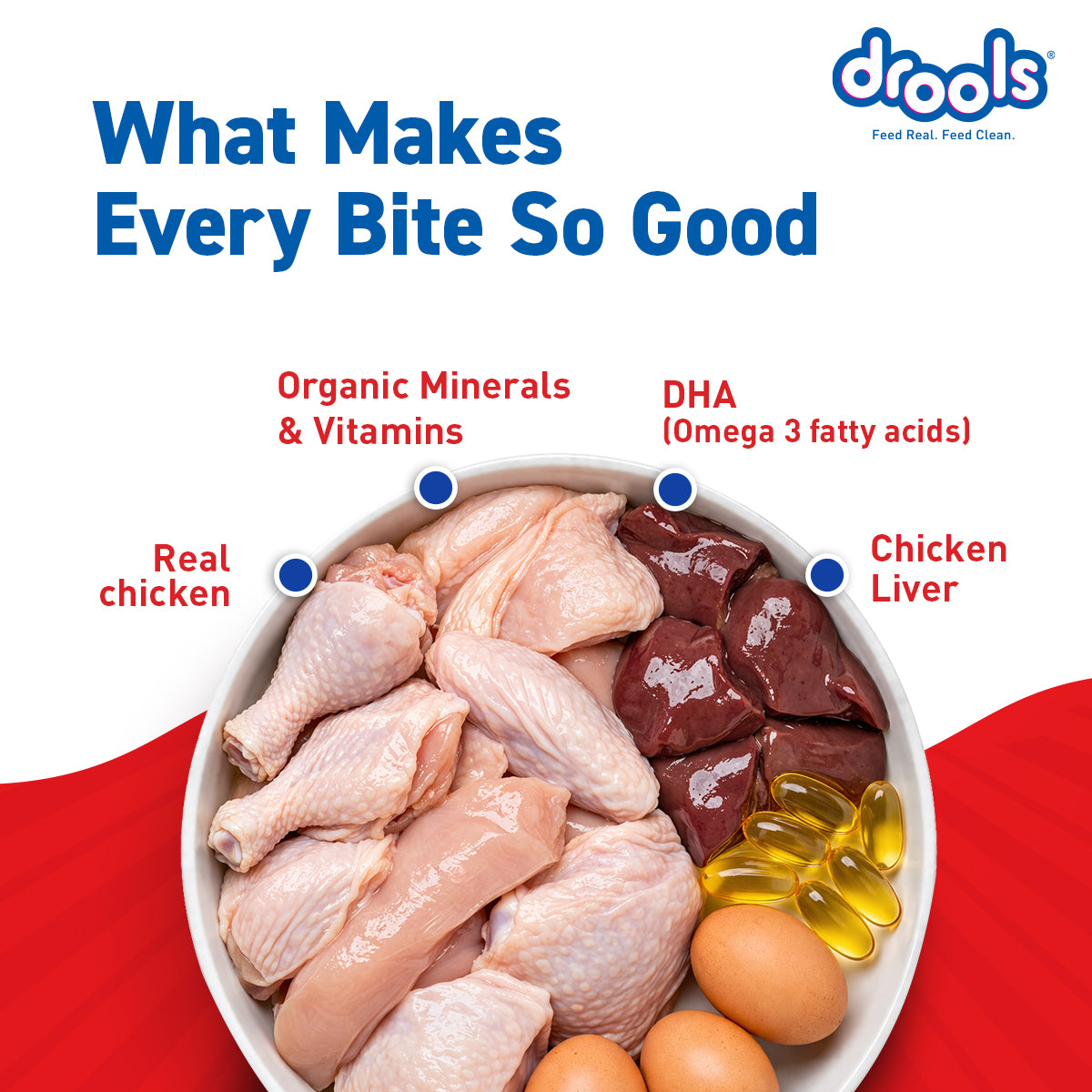 Drools Chicken & Liver Puppy Gravy | Wet Dog Food