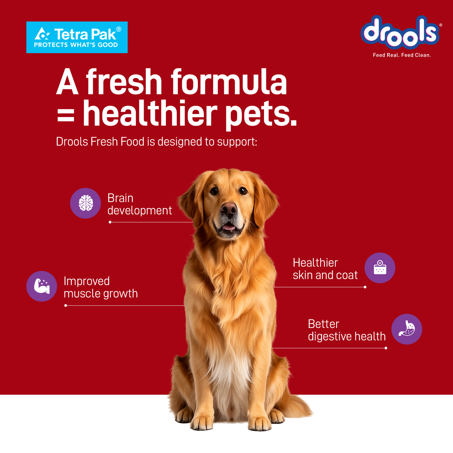 Drools Chicken Biryani | Fresh Dog Food
