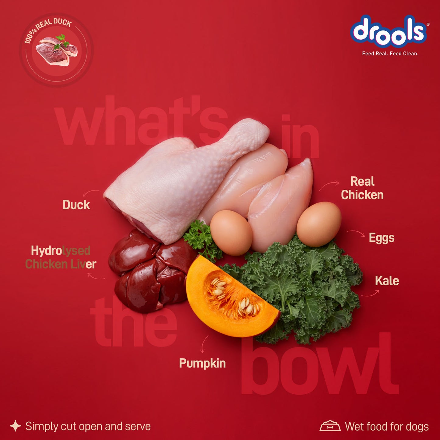 Drools Adult Duck with Pumpkin & Kale Gravy | Wet Dog Food