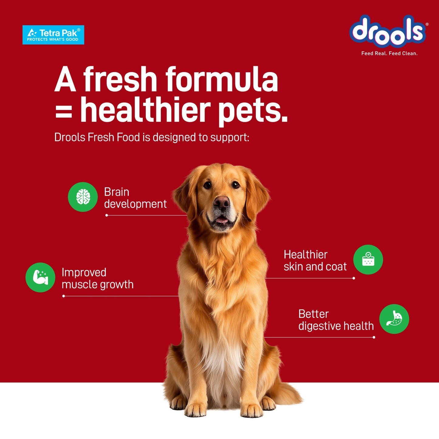 Drools Chicken Veggies Biryani | Fresh Dog Food