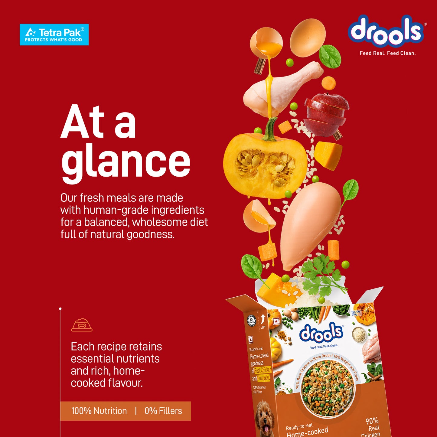 Drools Chicken Pumpkin Biryani | Fresh Dog Food