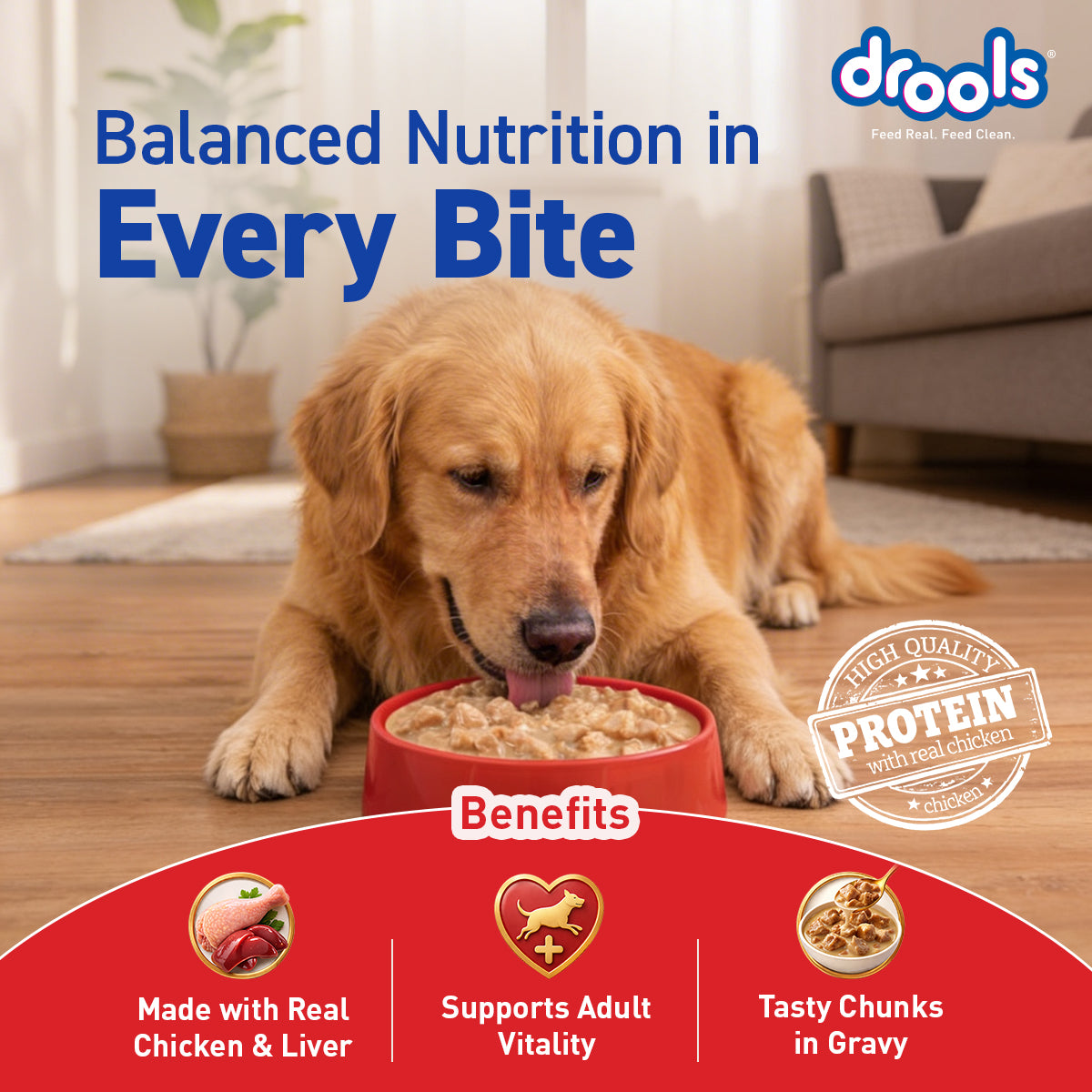 Drools Chicken & Liver Adult Gravy | Wet Dog Food