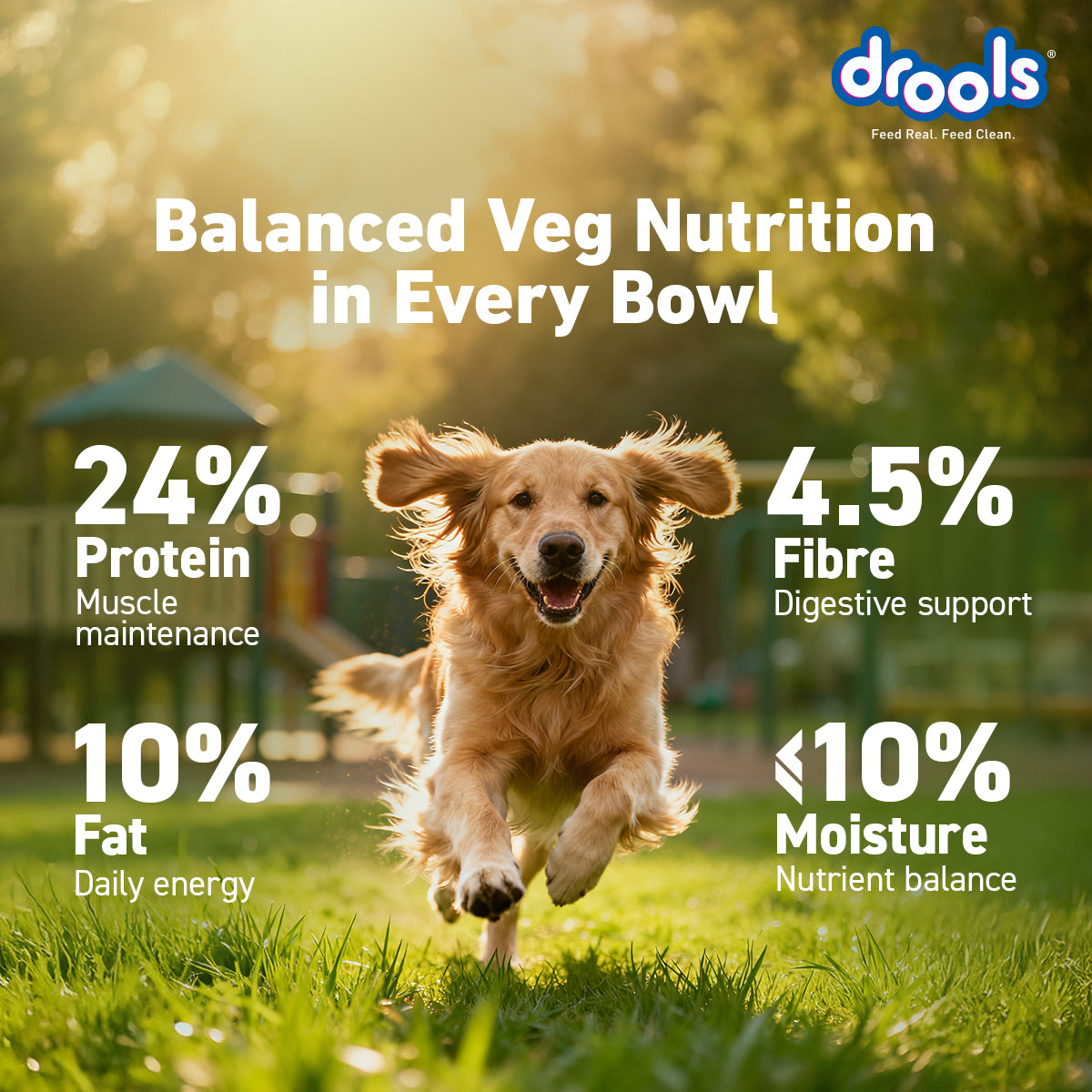 Drools Adult Vegetarian | Dry Dog Food