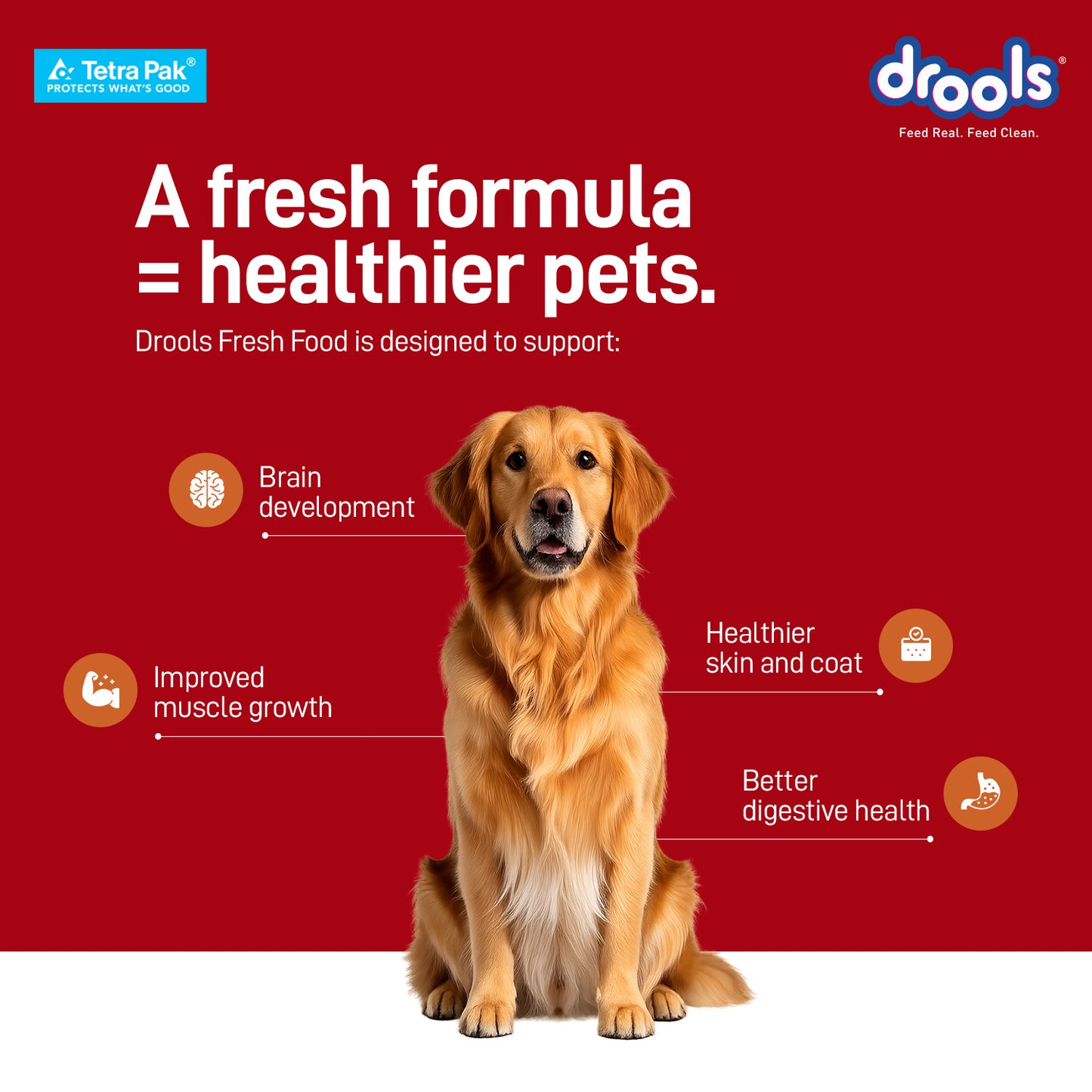 Drools Chicken Pumpkin Biryani | Fresh Dog Food