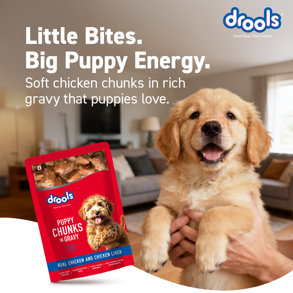Drools Chicken & Liver Puppy Gravy | Wet Dog Food