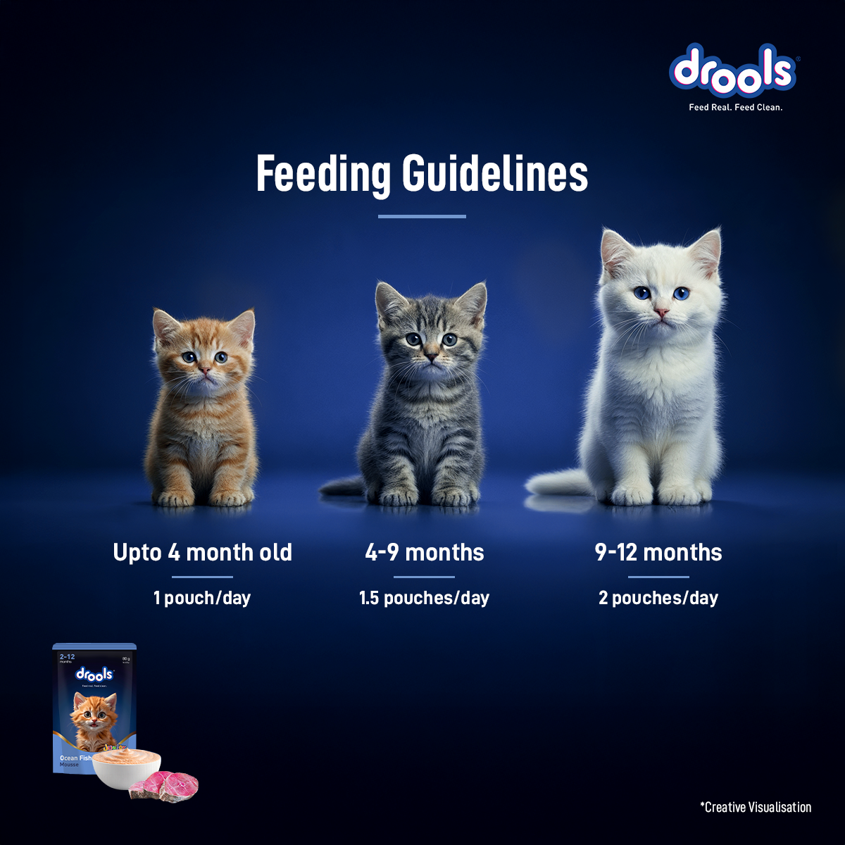 Drools Mousse Ocean Fish Kitten - 80 gm | Wet Cat Food