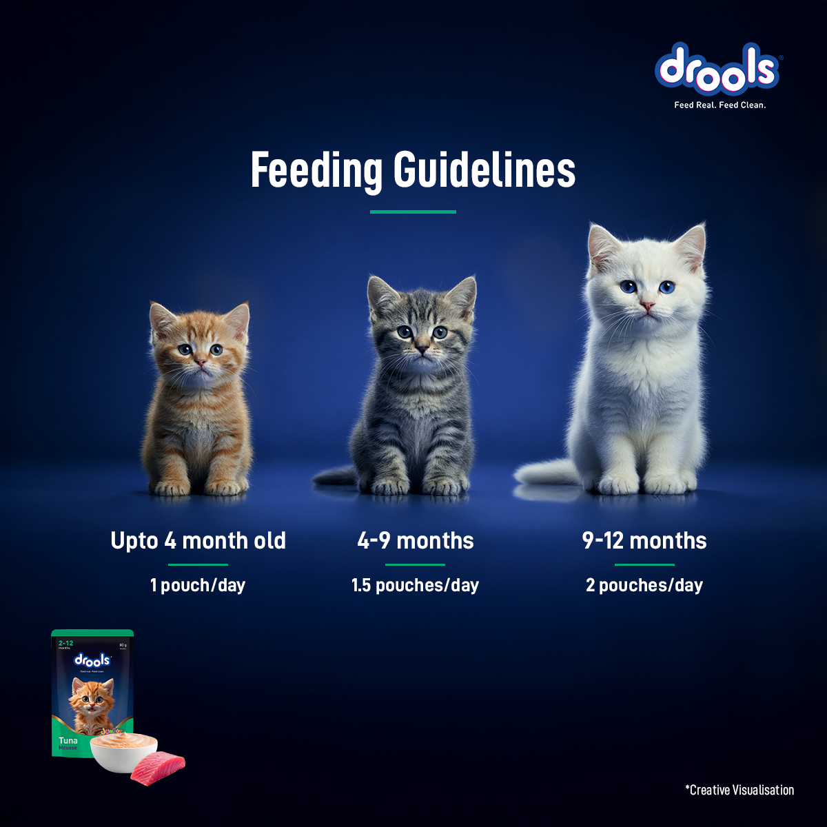 Drools Mousse Tuna Kitten - 80 gm | Wet Cat Food