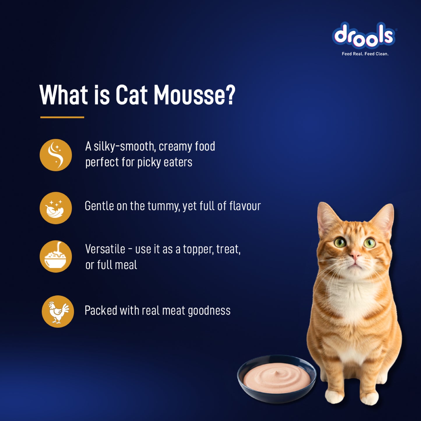 Drools Mousse Chicken - 80 gm | Wet Cat Food