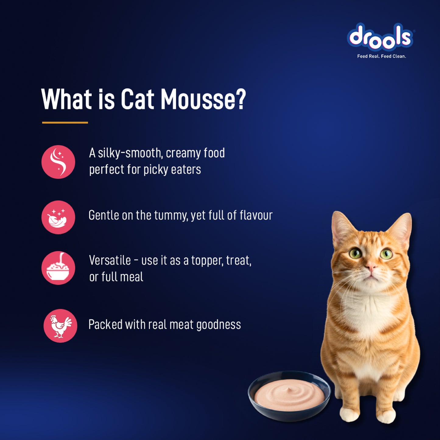 Drools Mousse Salmon - 80 gm | Wet Cat Food