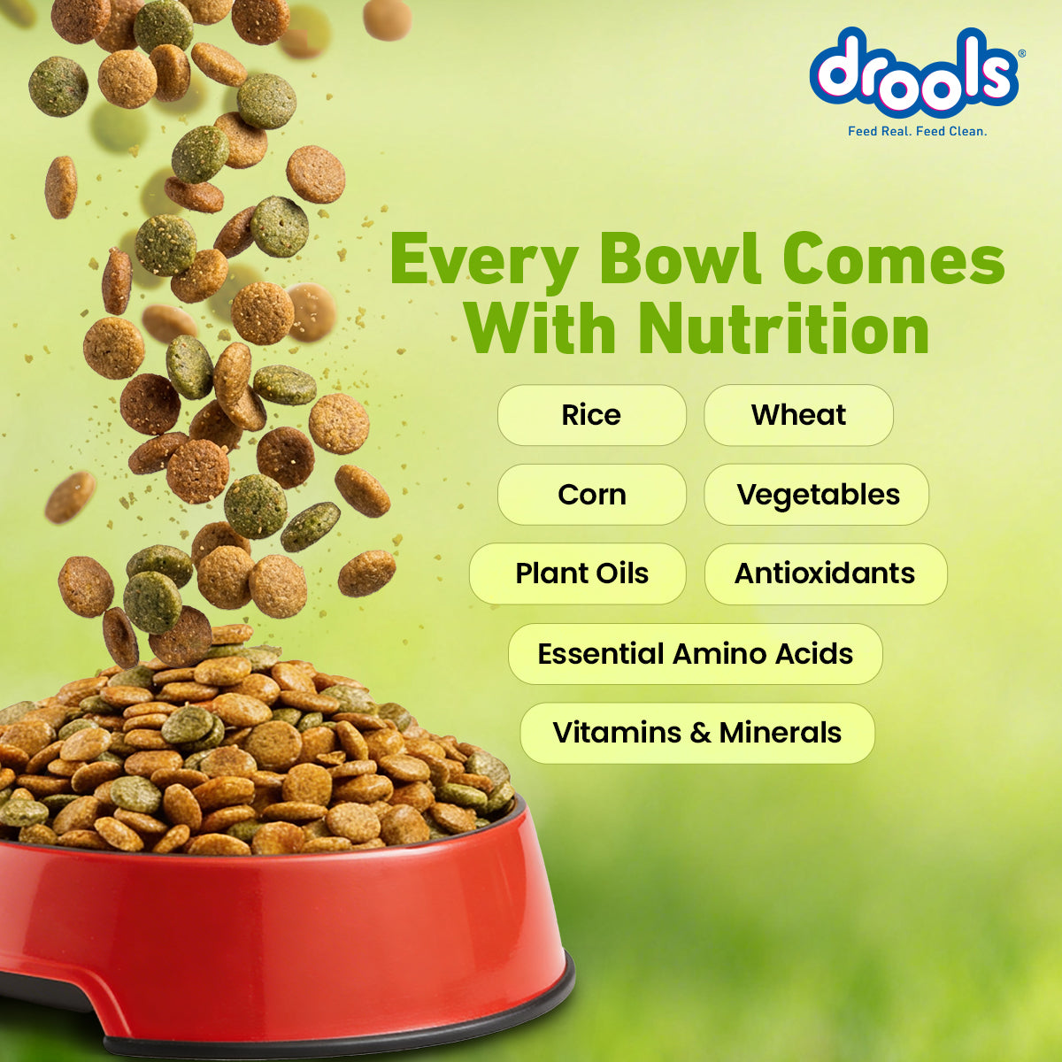 Drools Adult Vegetarian | Dry Dog Food